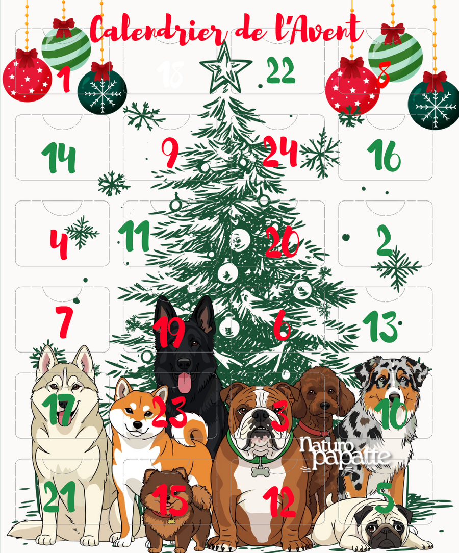 calendrier de l'avent chien