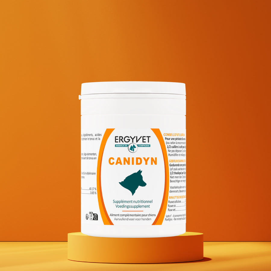 vitamines pour chien en poudre
