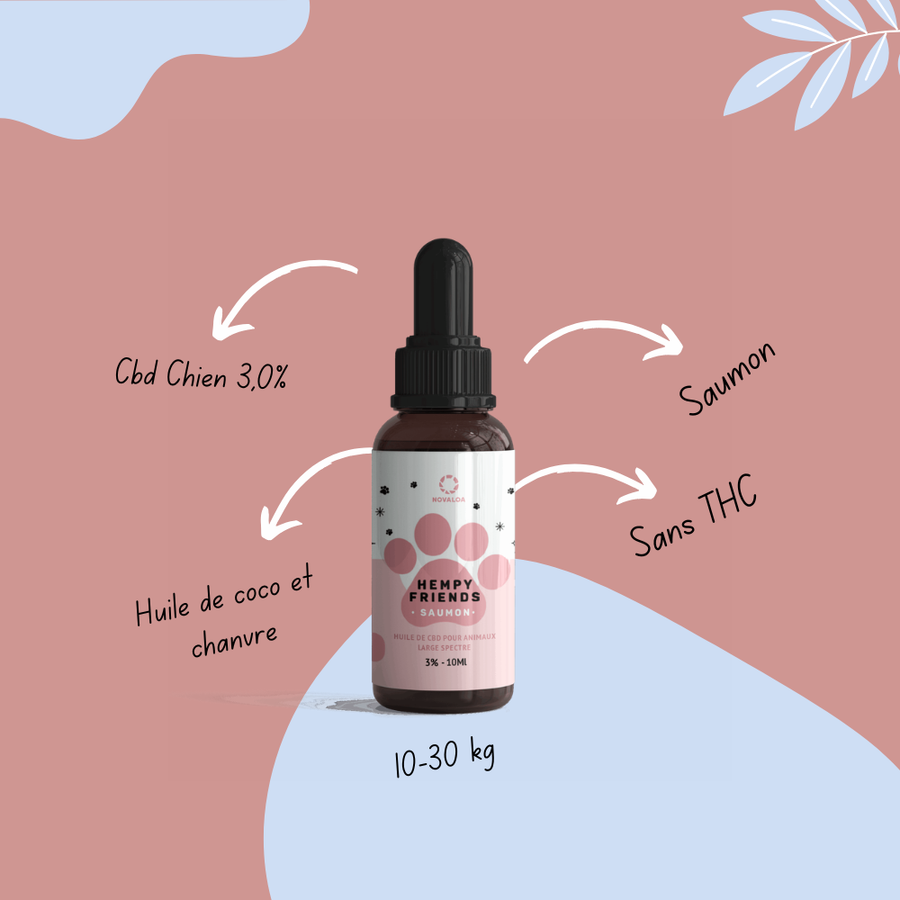 cbd chien francais 3%