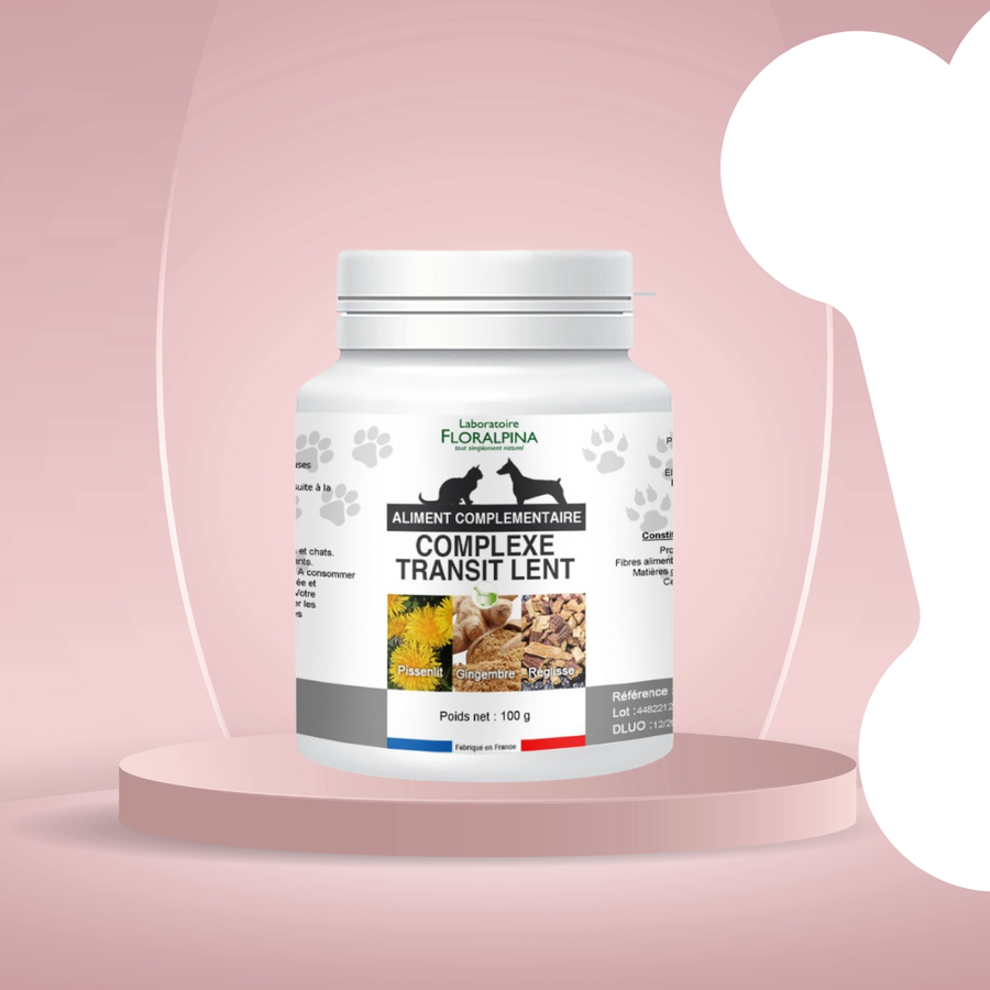 constipation chien solution naturelle