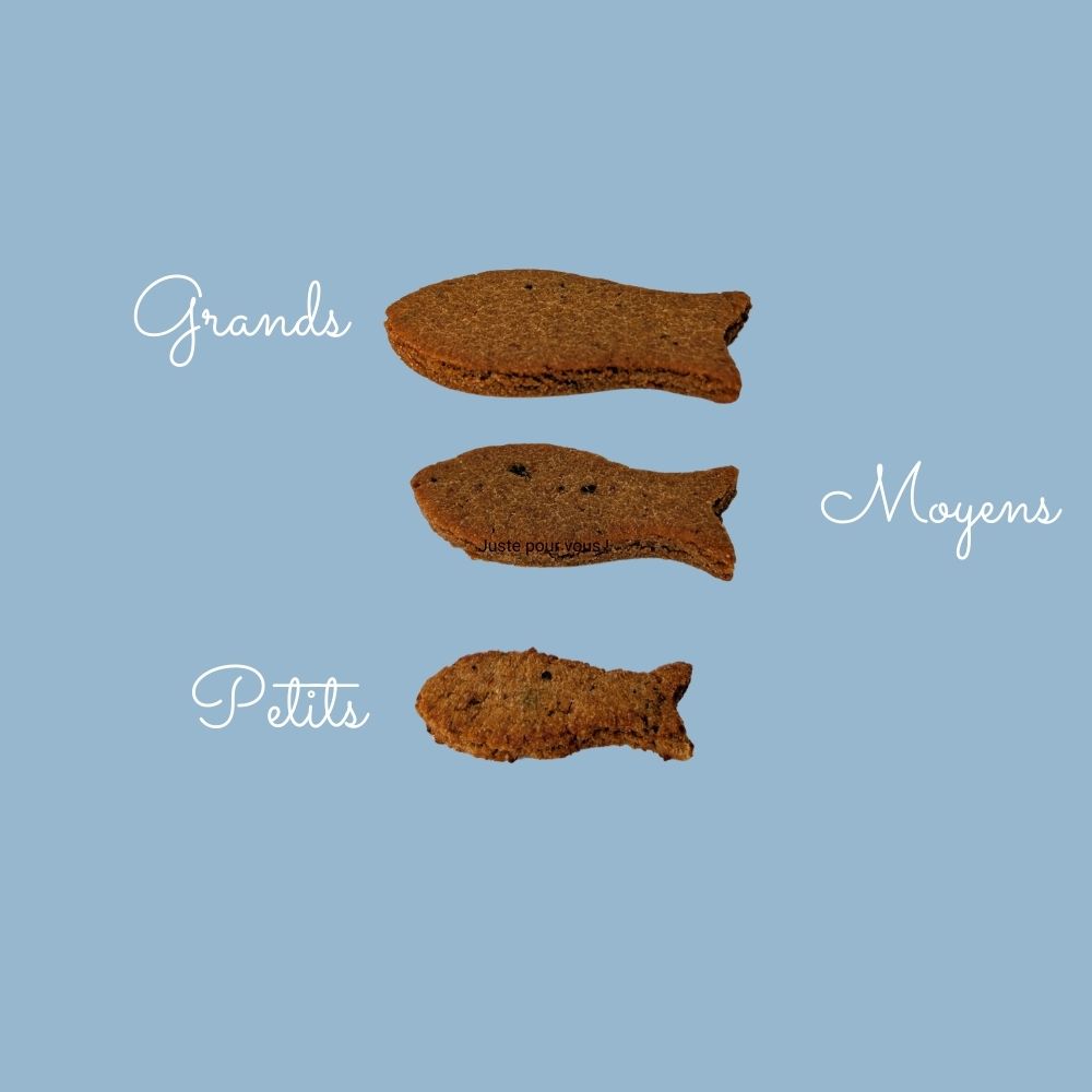 Gâteaux pour chien - Recette naturelle  et gourmande au maquereau