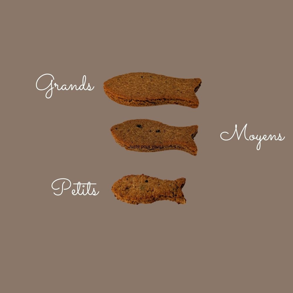 Gâteaux pour chien - Recette naturelle  et gourmande au maquereau