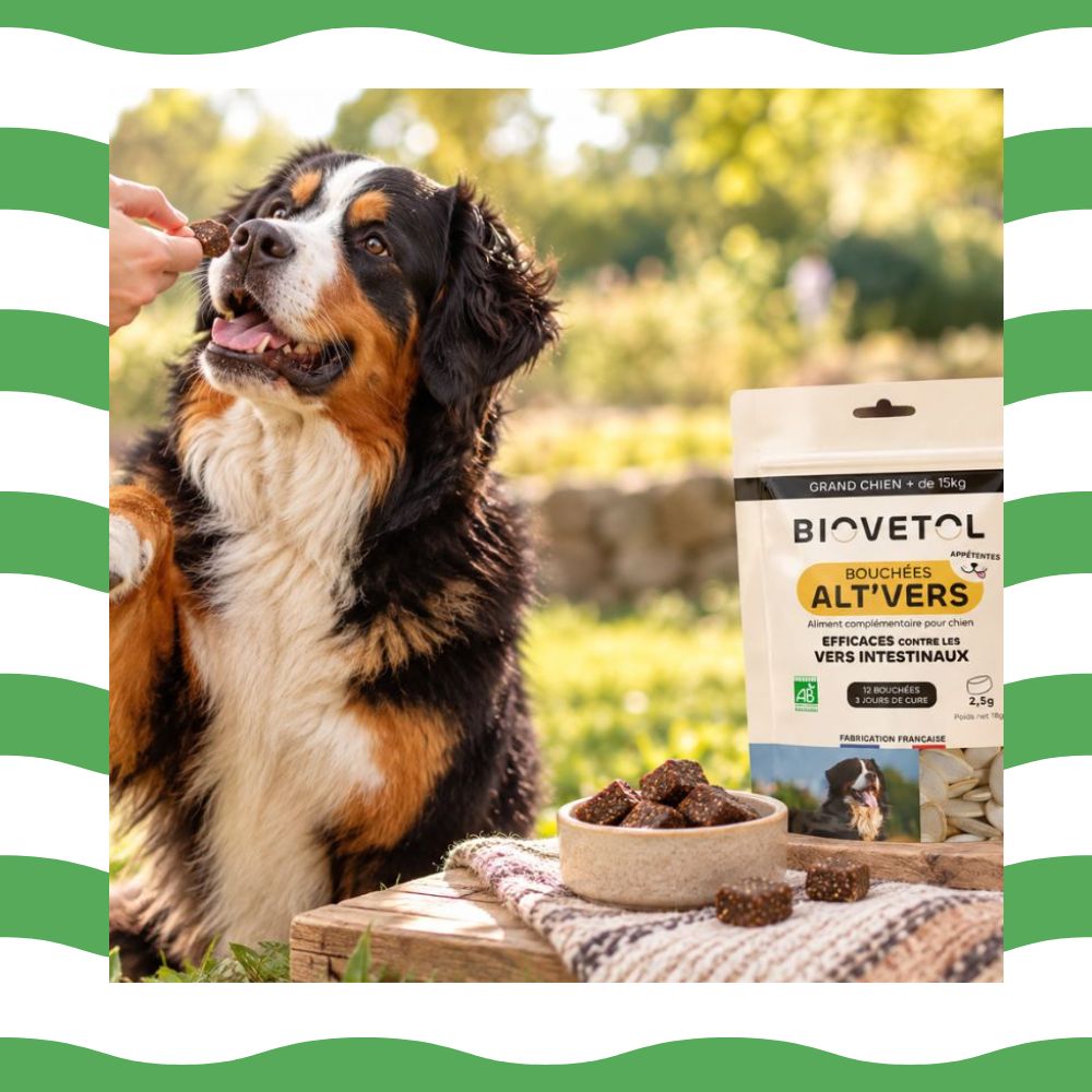 vermifuge en bouchees pour chien