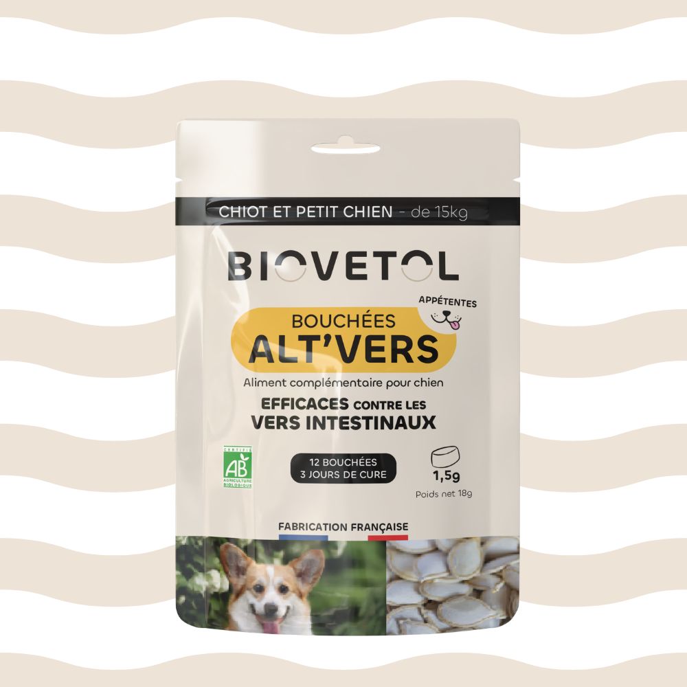 visuel alt vers petit chien biovetol