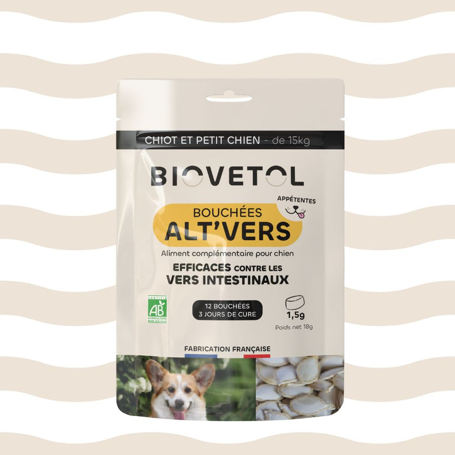 visuel alt vers petit chien biovetol